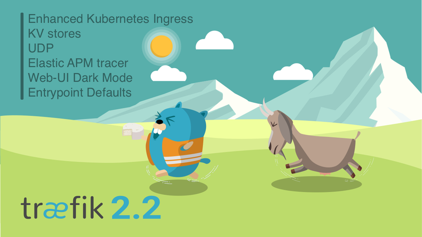 Announcing Traefik 2.2