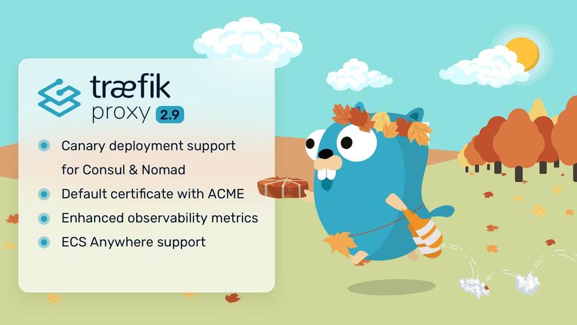 Announcing Traefik Proxy 2.9