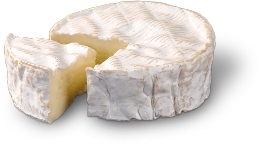 Introducing Distributed Cheese: Traefik 1.1 Camembert Is Out!