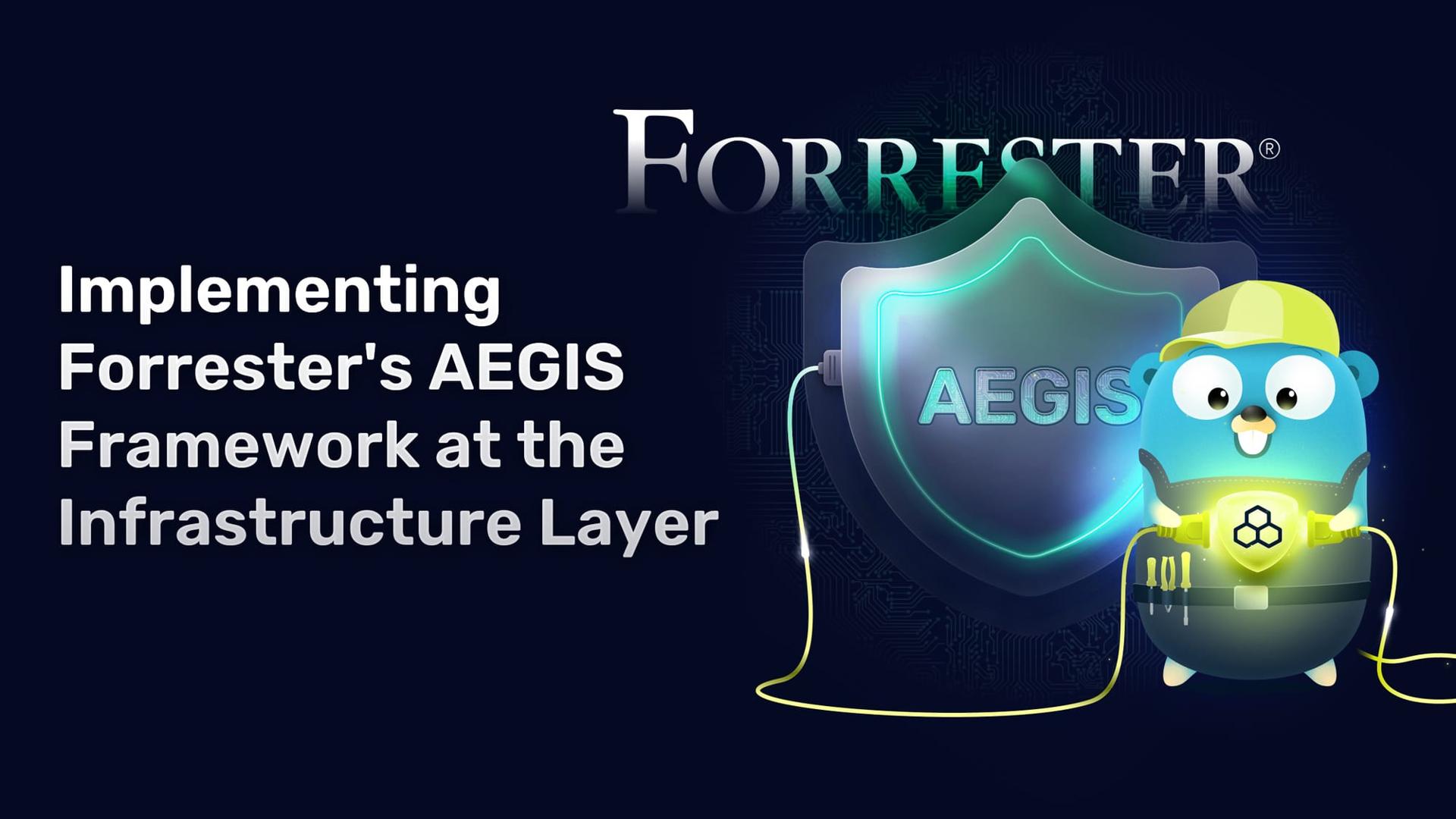 Implementing Forrester's AEGIS Framework at the Infrastructure Layer