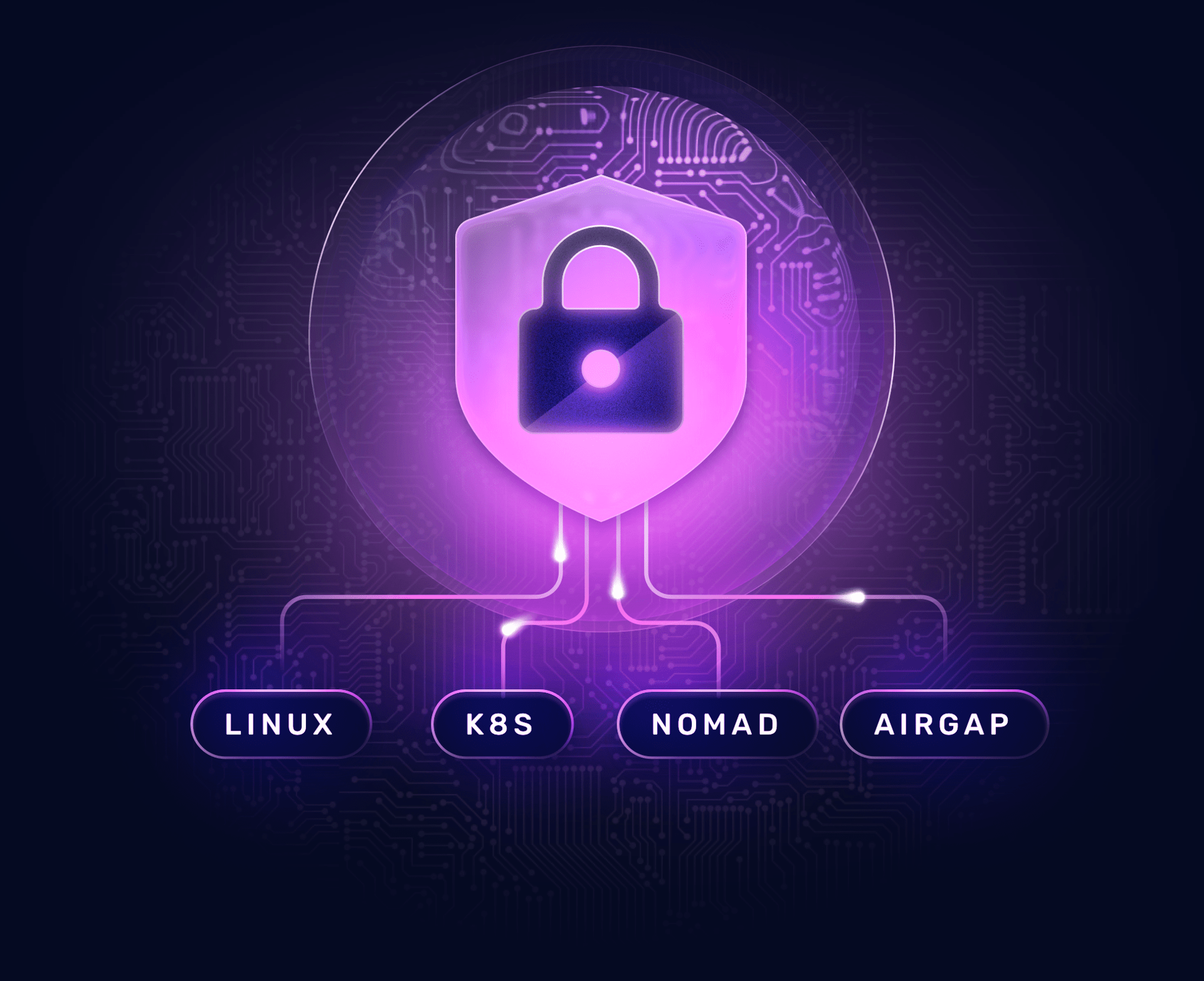 A validated cryptographic module secured behind a lock icon, branching out to Linux, Kubernetes, Nomad, and airgapped environments