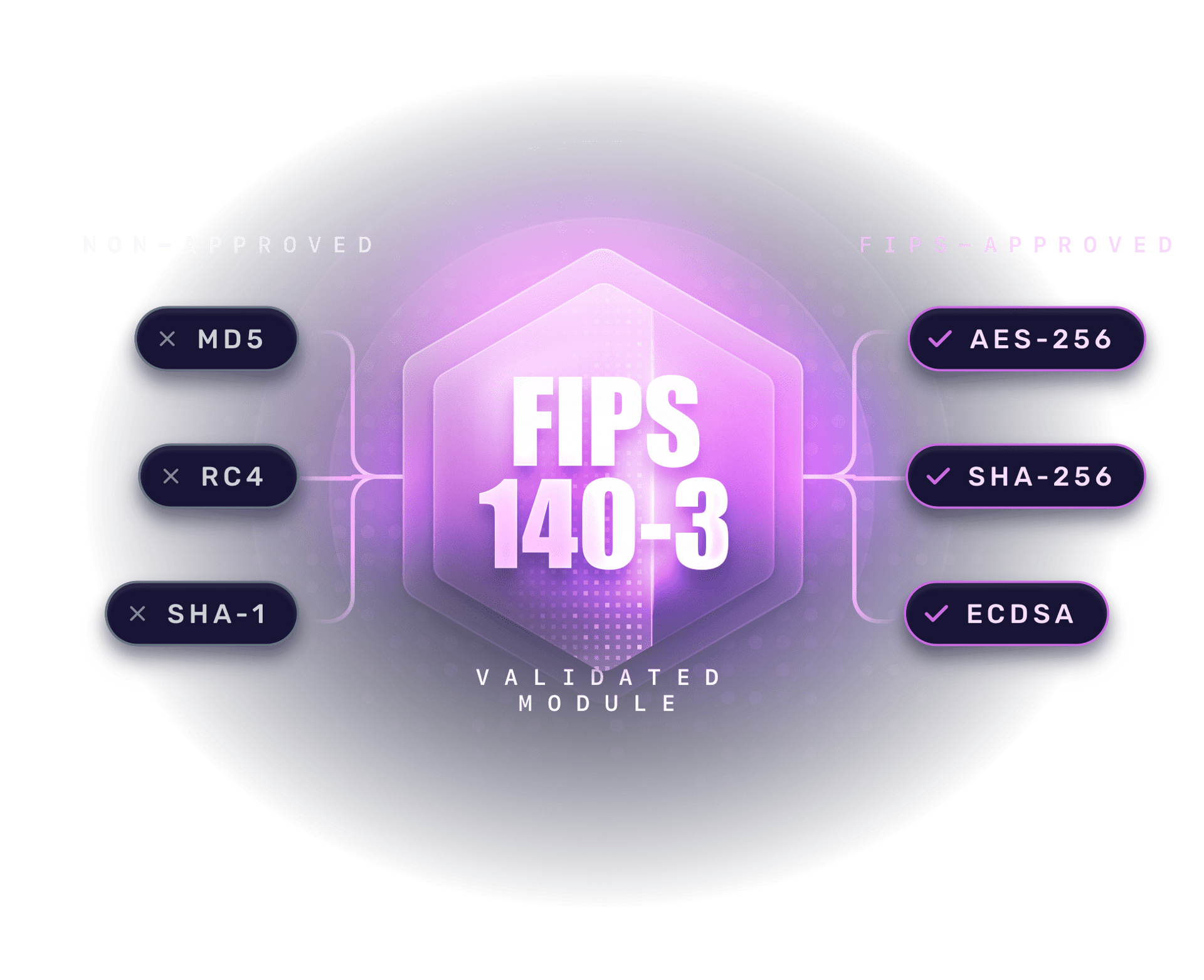 Diagram of the FIPS 140-3 validated module rejecting non-approved primitives like MD5, RC4, and SHA-1, and routing through FIPS-approved primitives like AES-256, SHA-256, and ECDSA