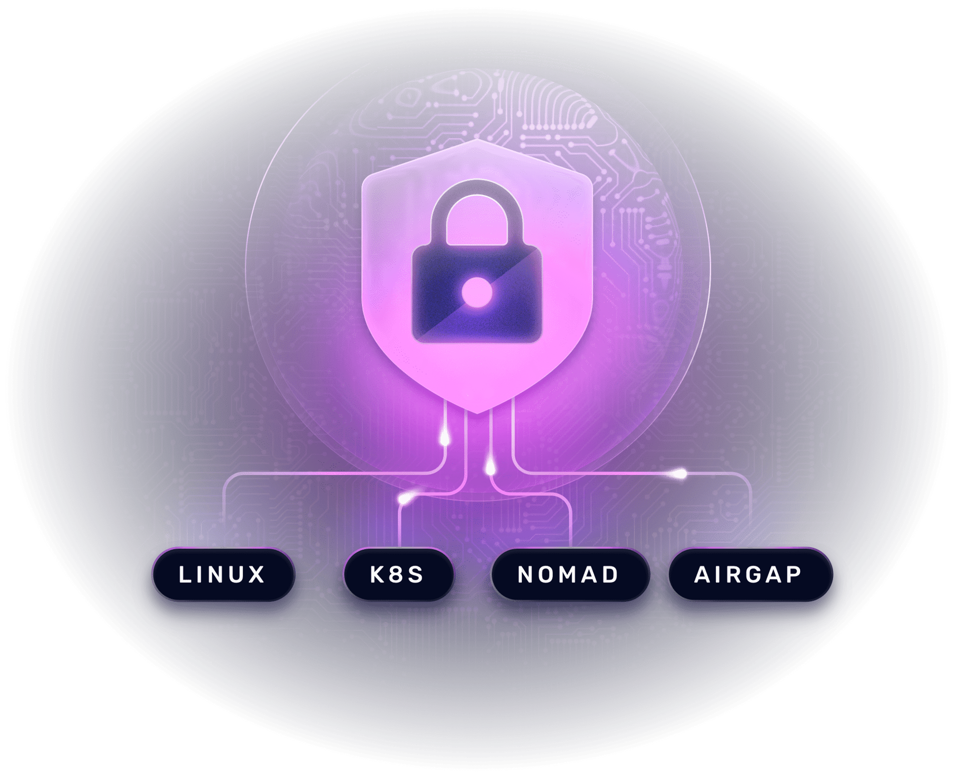 A validated cryptographic module secured behind a lock icon, branching out to Linux, Kubernetes, Nomad, and airgapped environments