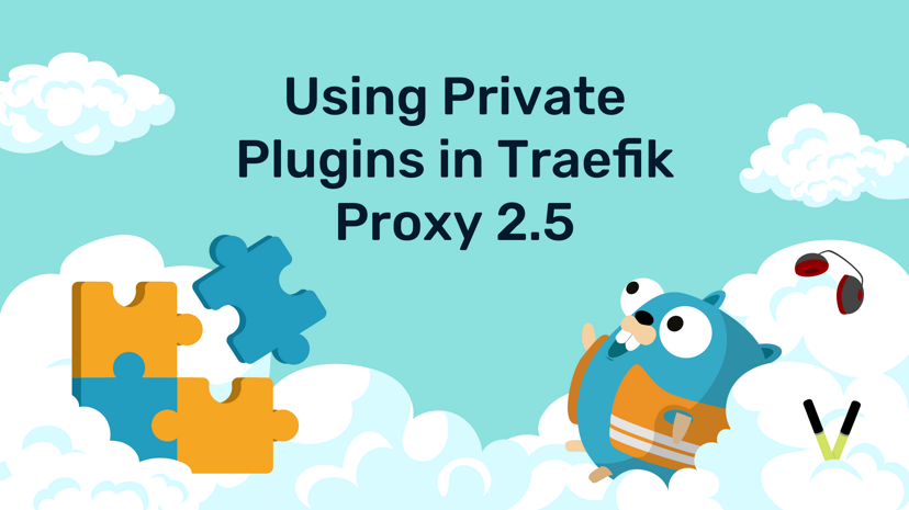 Using Private Plugins in Traefik Proxy 2.5