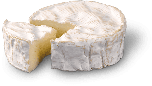 Introducing Distributed Cheese: Traefik 1.1 Camembert Is Out!