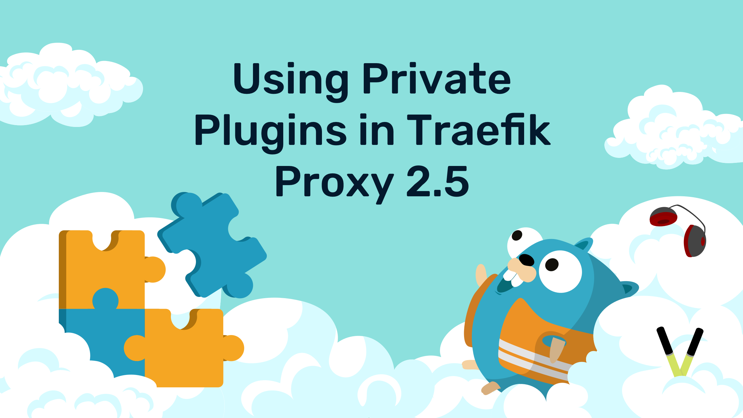 Using Private Plugins in Traefik Proxy 2.5